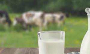 Wykorzystanie produktów mlecznych w domowej kuchni